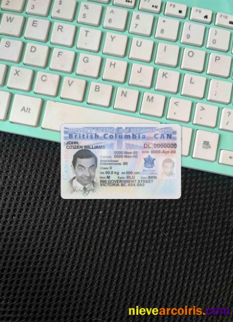 Canada province British Columbia driving license photolook